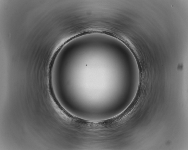X0000090880795200707271310