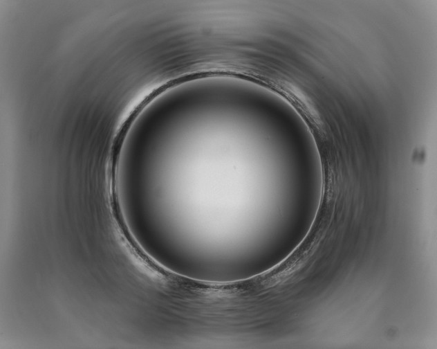 X0000090880796200707271310