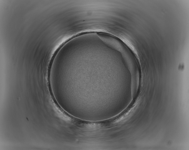 X0000090880797200707271310