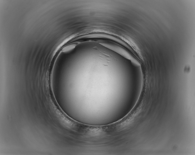 X0000090880798200707271310