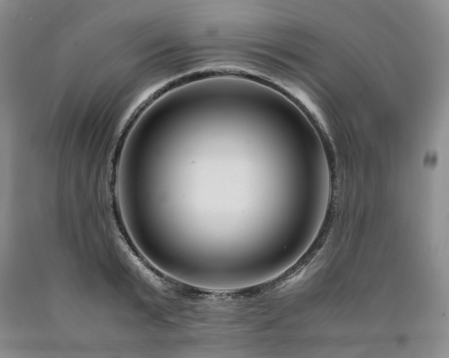 X0000090880799200707271310
