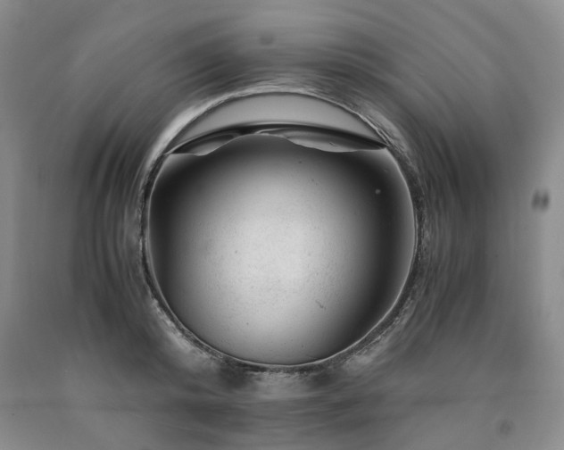 X0000090880800200707271310