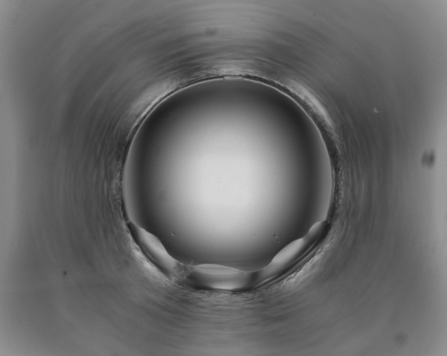 X0000090880801200707271310