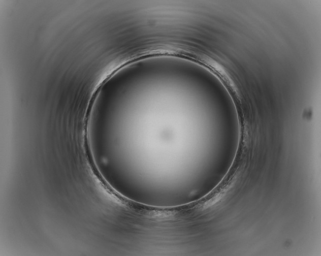 X0000090880802200707271310