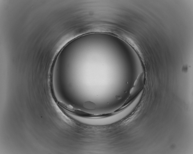 X0000090880803200707271310