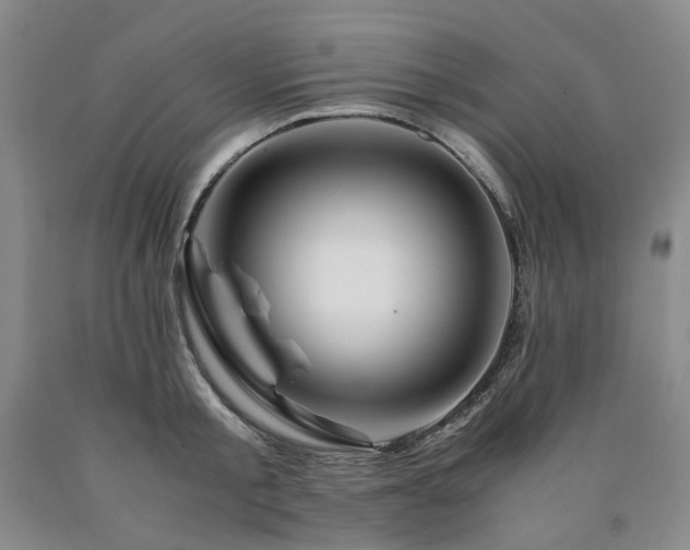 X0000090880805200707271310