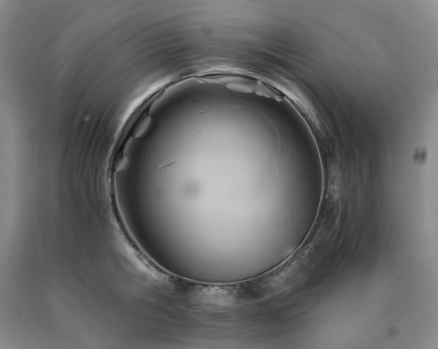X0000090880806200707271310