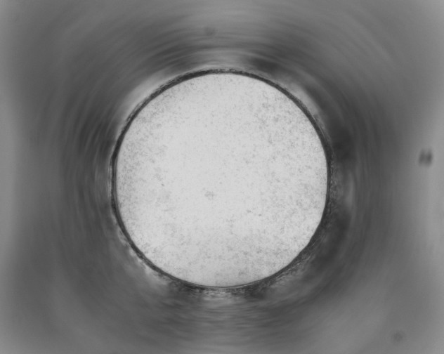 X0000090880807200707271310