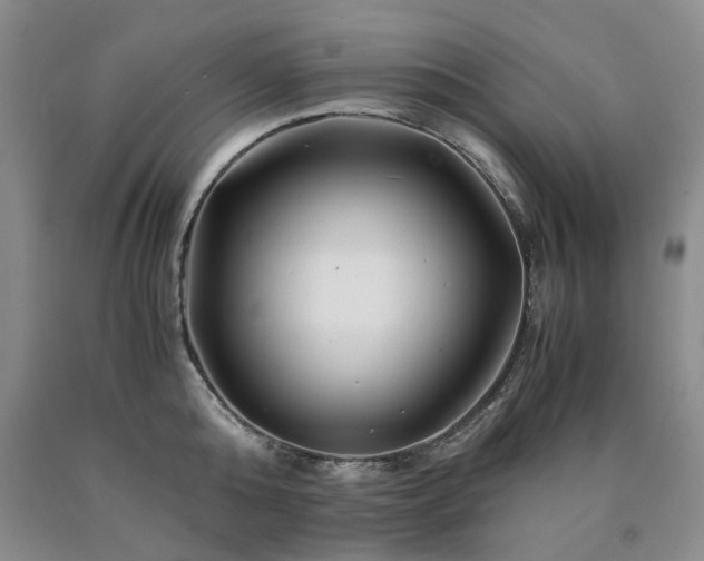 X0000090880808200707271310