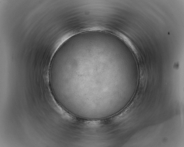 X0000090880810200707271310