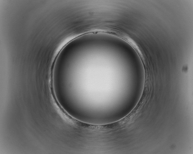 X0000090880811200707271310