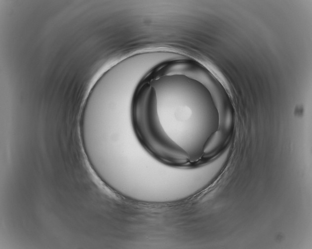 X0000090880813200707271310