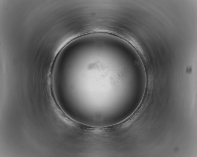 X0000090880814200707271310