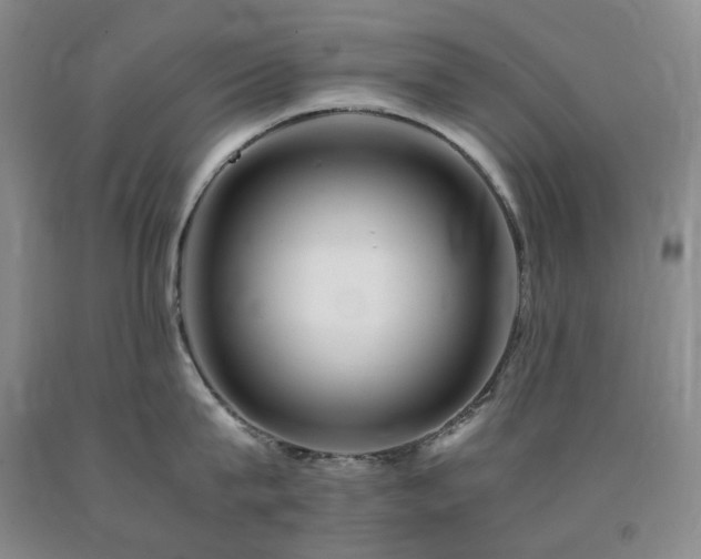 X0000090880815200707271310