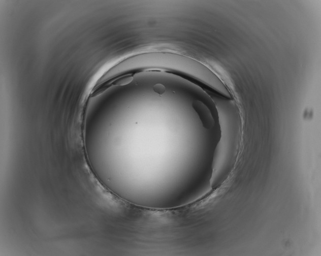 X0000090880816200707271310