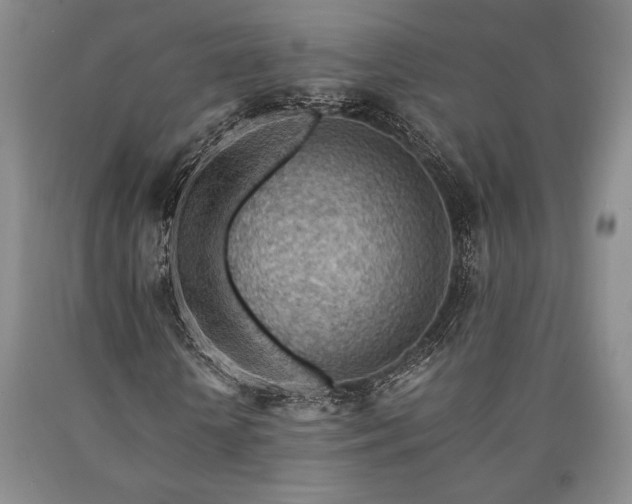 X0000090880818200707271309