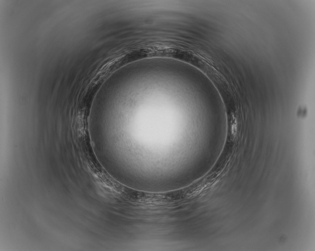 X0000090880819200707271309