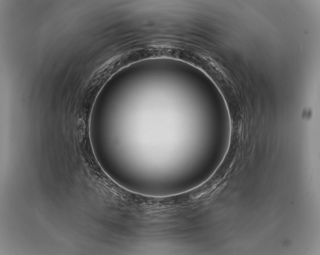 X0000090880821200707271309