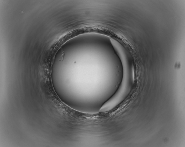 X0000090880822200707271309