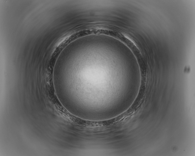 X0000090880823200707271309