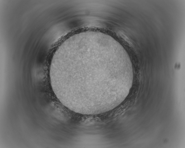 X0000090880824200707271309