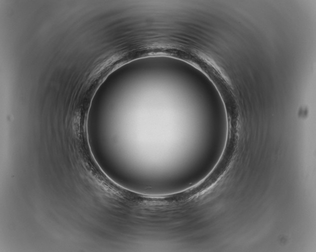 X0000090880825200707271309