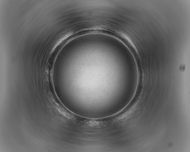 X0000090880827200707271309