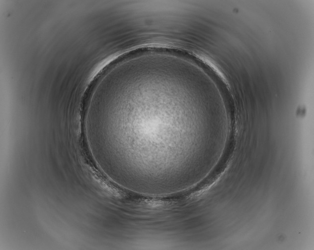 X0000090880829200707271309