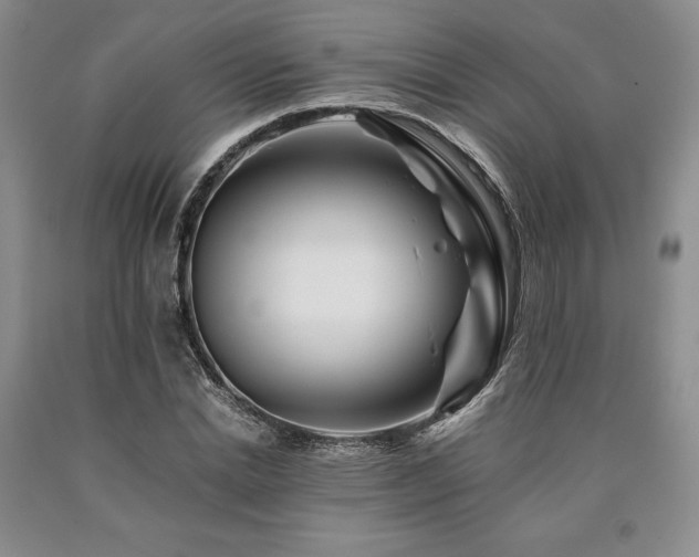 X0000090880830200707271309