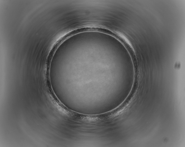 X0000090880831200707271309