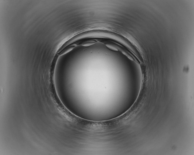 X0000090880834200707271309