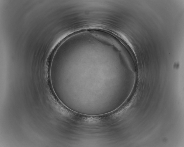 X0000090880835200707271309
