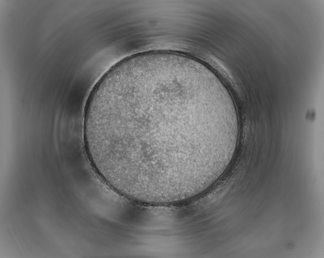 X0000090880836200707271309