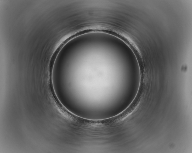 X0000090880837200707271309
