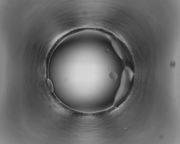 X0000090880838200707271309