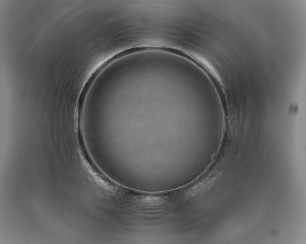 X0000090880839200707271309
