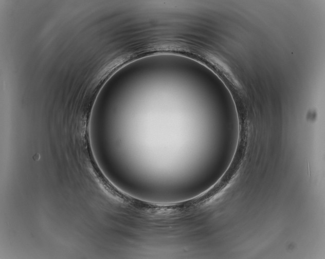 X0000090880841200707271309