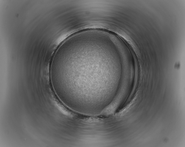 X0000090880842200707271309