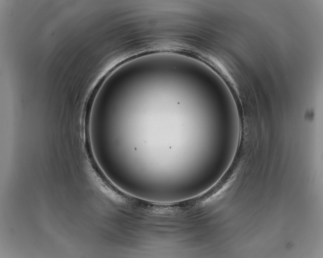 X0000090880843200707271309