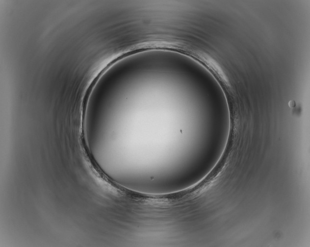 X0000090880844200707271309