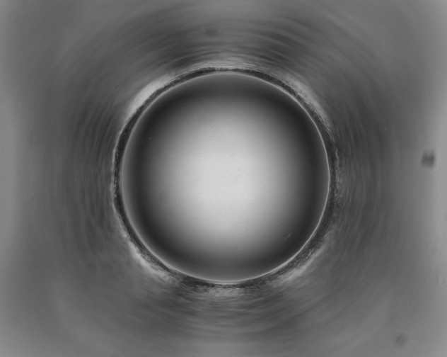 X0000090880845200707271309