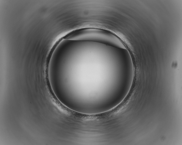 X0000090880846200707271309