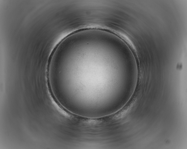 X0000090880847200707271309