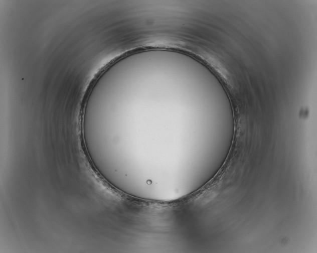 X0000090880848200707271309