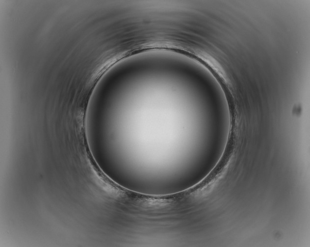 X0000090880849200707271309