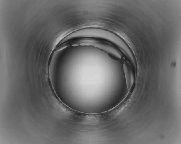 X0000090880850200707271309
