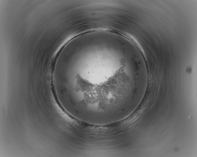 X0000090880851200707271309