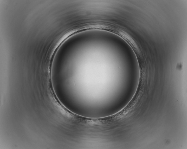X0000090880852200707271310