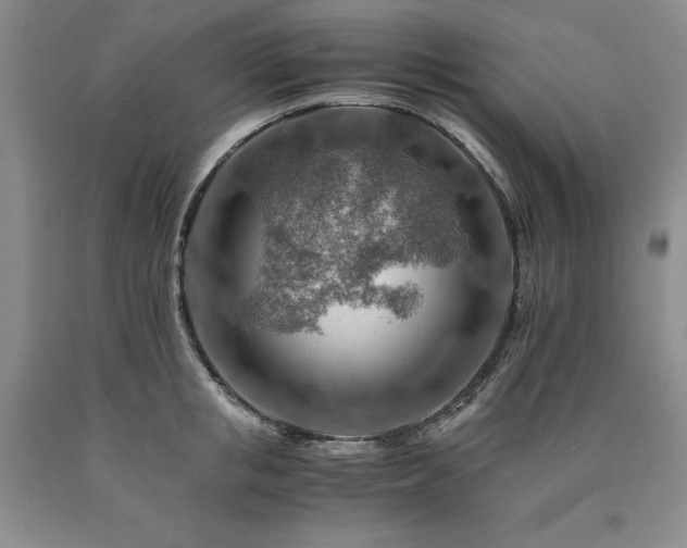 X0000090880853200707271310