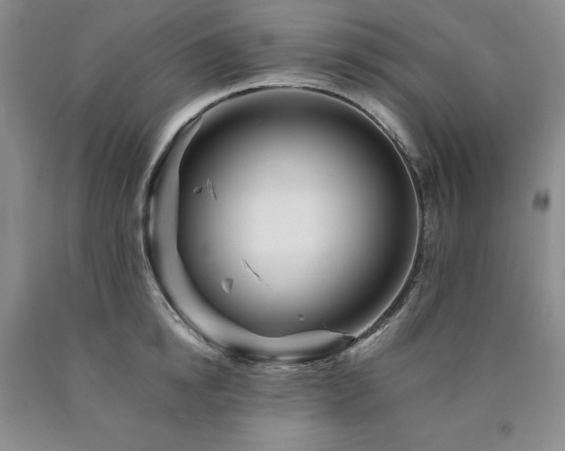 X0000090880854200707271310